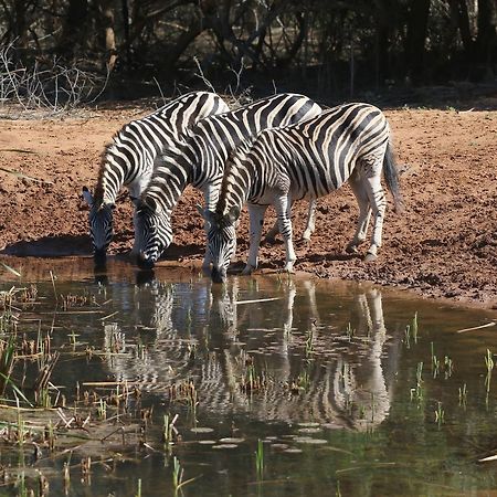 Bushbaby Lodge & Camping Hluhluwe Exterior photo
