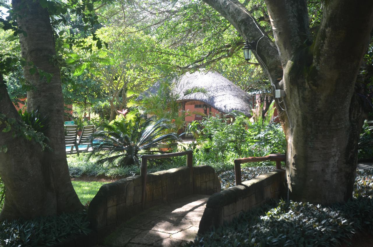 Bushbaby Lodge & Camping Hluhluwe Exterior photo